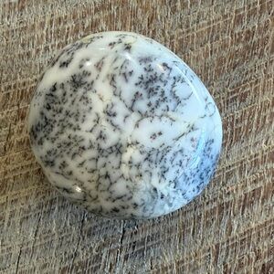 White dendritic opal palm stone
